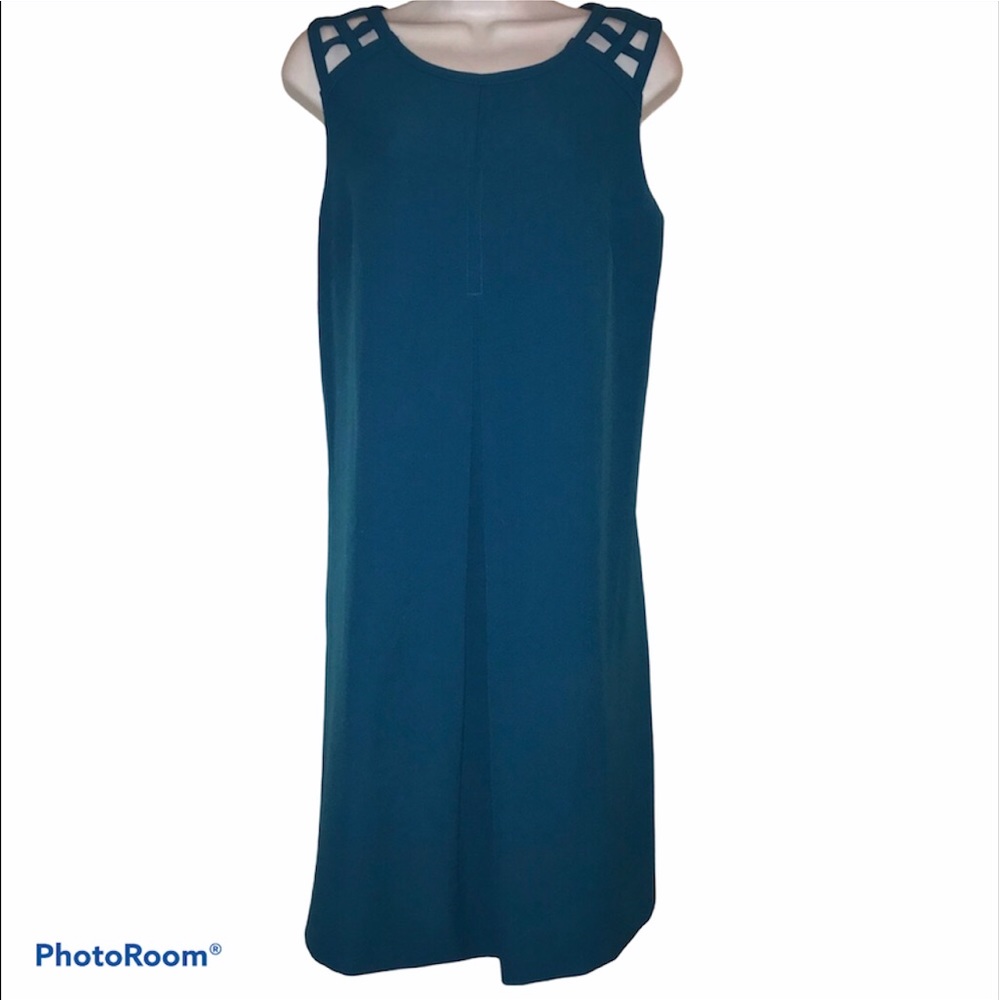 ADRIANNA PAPELL 12 Blue A-Line Dress back
Cutouts